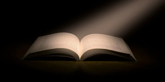 Remember, Release, Rewrite: Unlocking the Wisdom of Your Past Lives