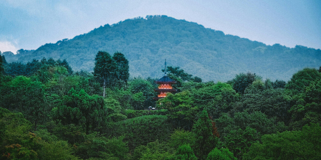 Returning to the Temple Within