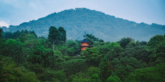 Returning to the Temple Within