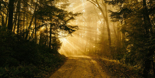 From Survival to Sacred Service: Jo Rolfe’s Journey as an Empathic Healer