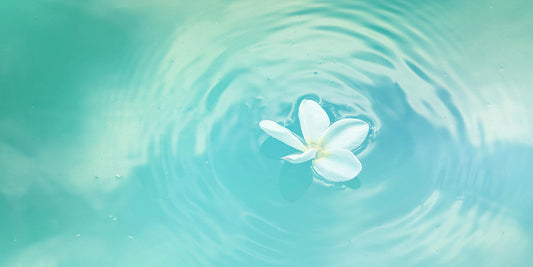 The Sacred Art of Intentional Living: Energy Practices for Clarity, Balance and Purpose