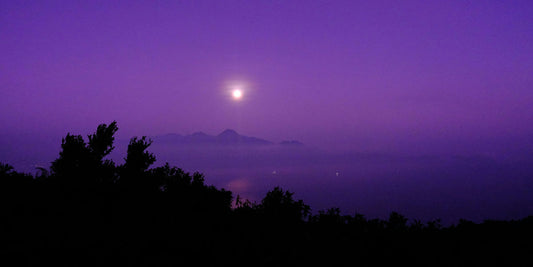 Divine Intuition in Bloom: Meet the Woman Behind Violet Moon